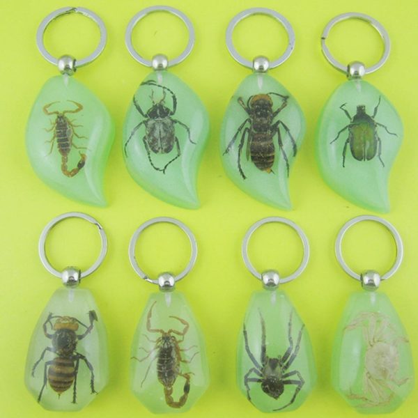 1PC Wholesale New Scorpion Glow Lucite Keyring Keychain Insect Jewelry Taxidermy Gift In Random Drop shipping