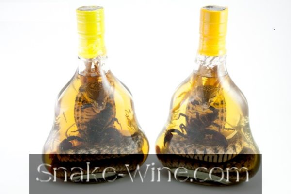 Snake Wine Liquor Shop