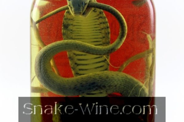 Smallest Snake Liquor Bottle