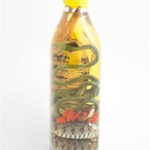 Vietnamese Snake Wine Liquor Bottle Free Delivery