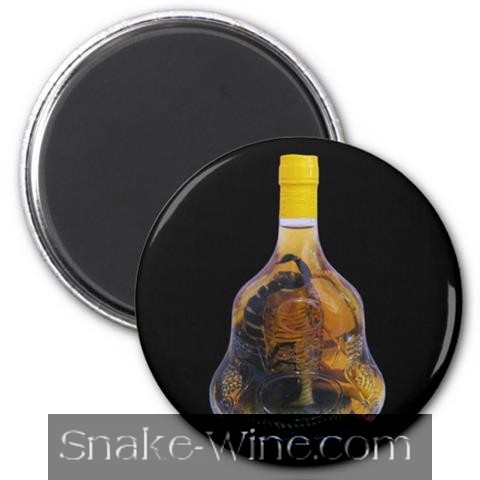 Snake Wine Magnet Black Round Snake Liquor Photo