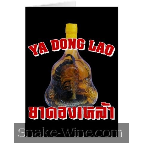 Snake Wine Postcard Black Ya Dong Snake Liquor Photo