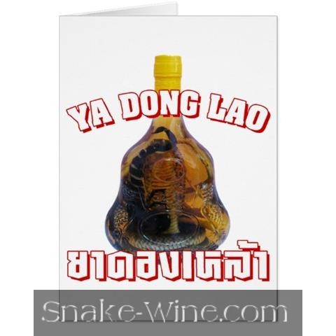 Snake Wine Postcard White Snake Liquor Photo
