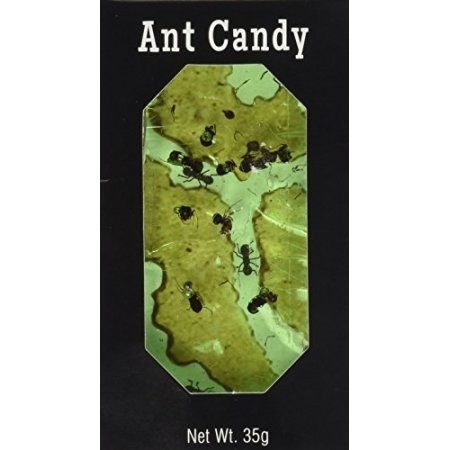 Ant Amber Block in Apple