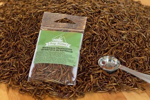 Barbeque Mealworms