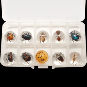Bug Marble Set