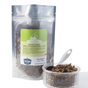 Chili Lime Crickets - Large Bag
