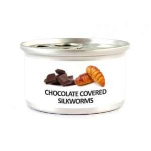Chocolate Covered Silkworm Pupae