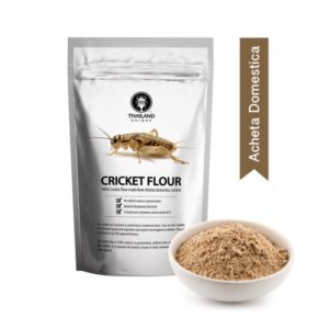 Cricket Powder 1kg Acheta Domestica