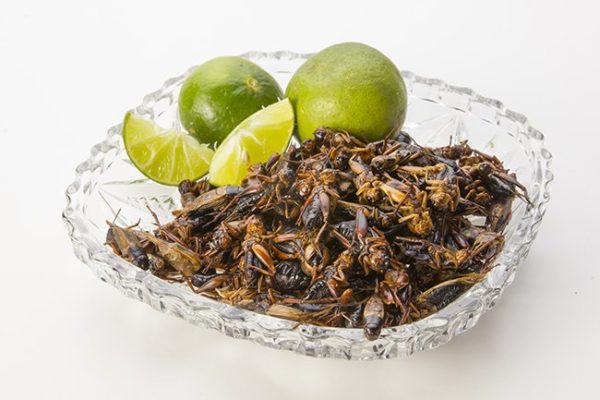 Crickets Lime
