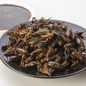 Crickets Teriyaki
