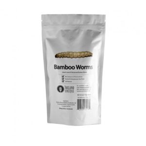 Edible Bamboo Worm Pupae