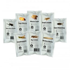 Edible Insects Multi-Pack -16 bags