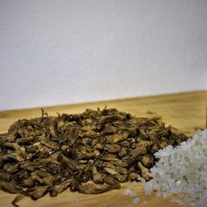 Edible Insects Small Crickets Salt & Vinegar