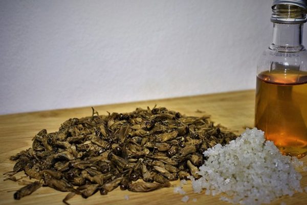 Edible Insects Small Crickets Salt & Vinegar