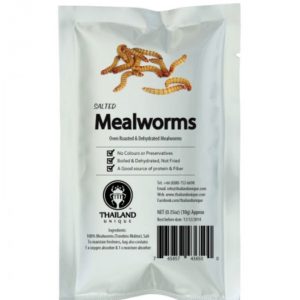 Edible Mealworms - Tenebrio Molitor