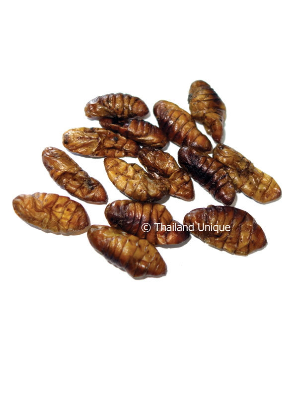 Edible Silkworm Pupae - Bombyx Mori