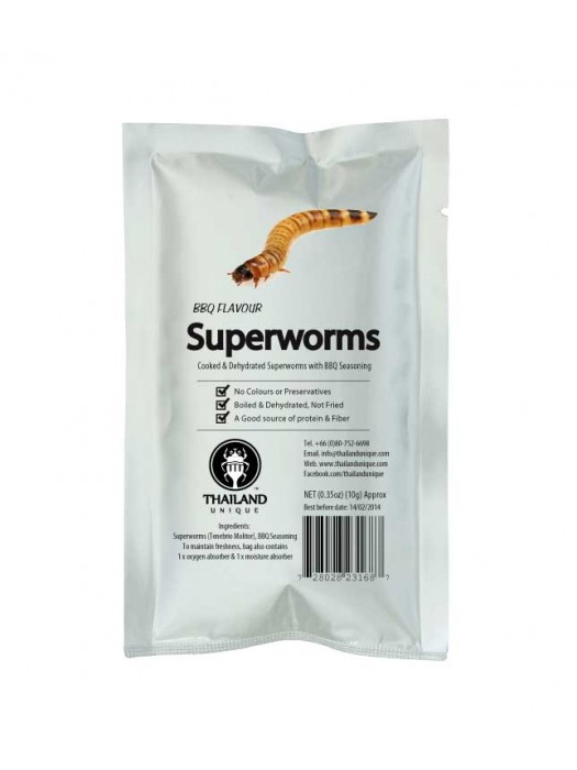 Edible Superworms - Zophobas Morio