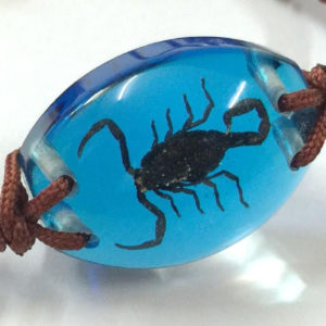 FREE SHIPPING 10 Bracelet Real Black Scorpion Taxidermy In Blue Color Resin