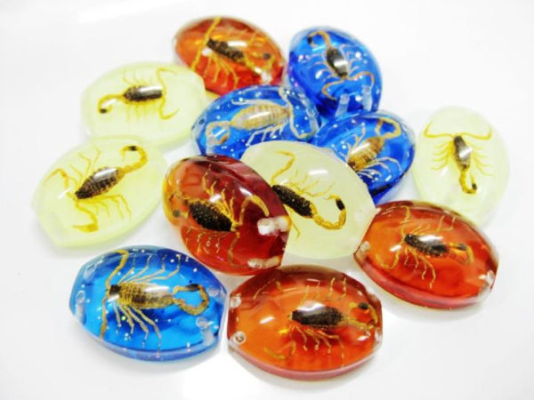FREE SHIPPING 12 PCS GOLD SCORPION COLORFUL BOTTOM BEAD INSECT COOL FINE TAXIDERMY GIFT