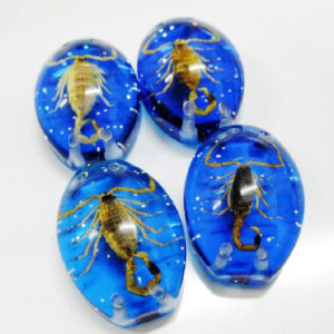 FREE SHIPPING 12 PCS GOLD SCORPION NICE BLUE BOTTOM BEAD CUTE INSECT TAXIDERMY GIFT