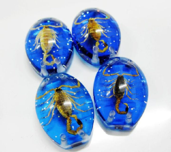 FREE SHIPPING 12 PCS GOLD SCORPION NICE BLUE BOTTOM BEAD CUTE INSECT TAXIDERMY GIFT