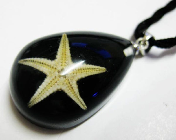 FREE SHIPPING 12 PCS NEW REAL BLACK STARFISH LUCITE CHARMING PENDANT INSECT JEWELRY TAXIDERMY GIFT