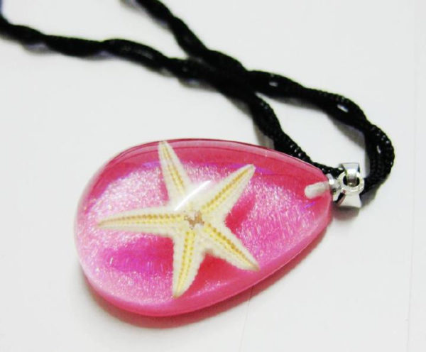 FREE SHIPPING 12 PCS NEW REAL SMART PINK DROP STARFISH PENDANT INSECT JEWELRY TAXIDERMY GIFT