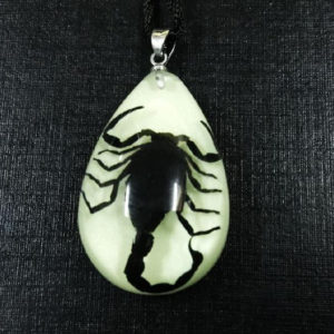 FREE SHIPPING 12 PCS REAL BLACK SCORPION GLOW LUCITE PENDANT CHARMING COOL TAXIDERMY GIFT