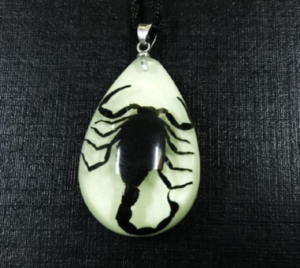 FREE SHIPPING 12 PCS REAL BLACK SCORPION GLOW LUCITE PENDANT CHARMING COOL TAXIDERMY GIFT