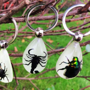 FREE SHIPPING 12 PCS Real Mix Insect In Acrylic Resin Birthday Gift Ornament Decor KeyChain INSECT JEWELRY TAXIDERMY GIFT