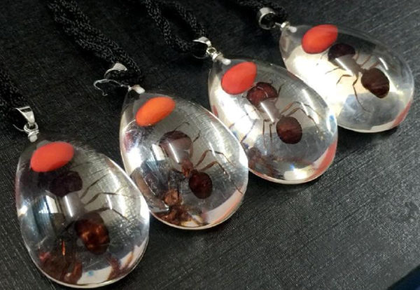 FREE SHIPPING 12 Pendant Clear Real Ant Insect Taxidermy Bottom Resin Magic Jewelry VERY PRETTY