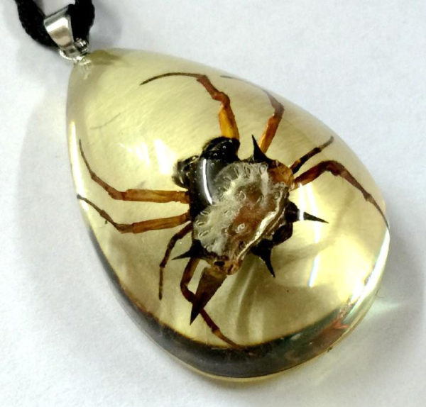 FREE SHIPPING 12 Pendant Natural Spider Insect Taxidermy Resin Charming Jewelry VERY PRETTY