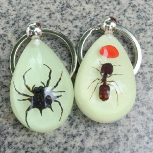 FREE SHIPPING 12PCS REAL ANT RED BEAN PRICKLY SPIDER GLOW DROP FASHION KEYCHAIN TAXIDERMY GIFT