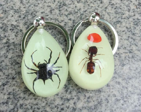 FREE SHIPPING 12PCS REAL ANT RED BEAN PRICKLY SPIDER GLOW DROP FASHION KEYCHAIN TAXIDERMY GIFT