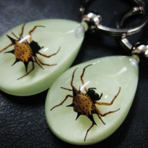 FREE SHIPPING 15 Keychain Real Prickly Spider Insect Taxidermy Glow in the dark Drop Jewelry