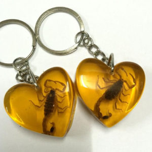 FREE SHIPPING 15 Keychain Real Yellow Scorpion Taxidermy Resin Chic Heart Style Jewelry