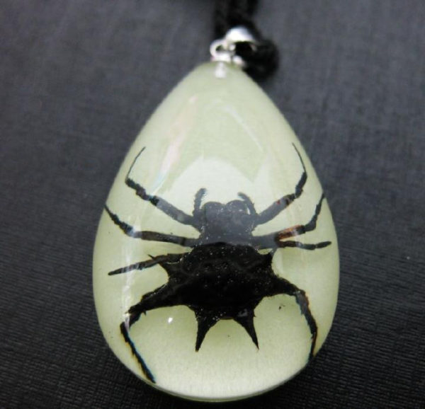 FREE SHIPPING 20 PCS BLACK NATURAL SPINY SPIDER GLOW LUCITE NECKLACE PENDANT TAXIDERMY GIFT