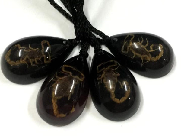 FREE SHIPPING 20 PCS Personality Retro TAXIDERMY NEW REAL BLACK GOLDEN SCORPION LUCITE NECKLACE PENDANT INSECT JEWELRY