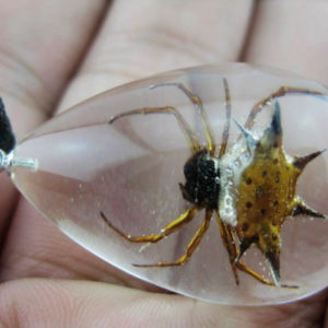 FREE SHIPPING 20 PCS REAL COOL SPINY SPIDER lucid teardrop LUCITE NECKLACE PENDANT TAXIDERMY GIFT