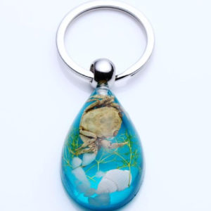 FREE SHIPPING 20 PCS REAL CRAB LUCITE KEYRING KEYCHAIN MARINE INSECT JEWELRY TAXIDERMY GIFT