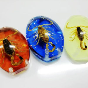 FREE SHIPPING 3 PCS GOLD SCORPION MIX COLOR BOTTOM BEAD INSECT JEWELRY TAXIDERMY GIFT