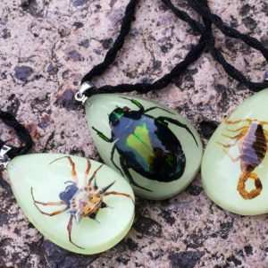 FREE SHIPPING 3 pcs real scorpion s[oder beetle Cool New Hand Charm glow in dark drop Pendant TAXIDERMY GIFT