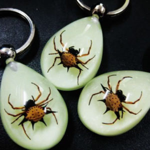FREE SHIPPING 5 PCS Natural Real Red eight feet chinese spider cool unisex key-chains TAXIDERMY GIFT
