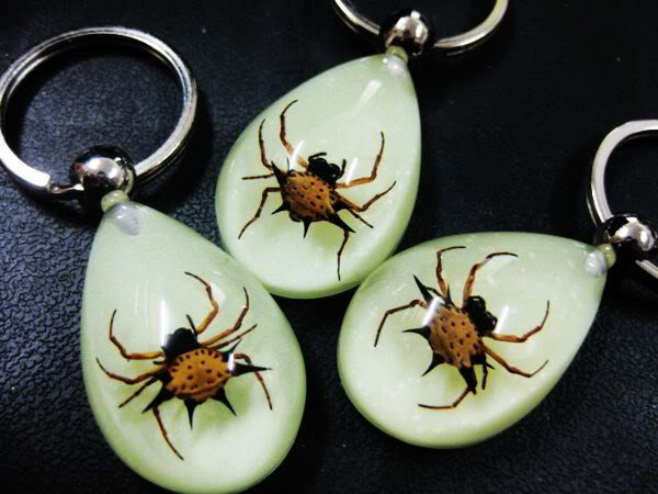 FREE SHIPPING 5 PCS Natural Real Red eight feet chinese spider cool unisex key-chains TAXIDERMY GIFT