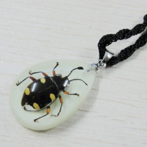 FREE SHIPPING 8PCS NEW REAL BUG GLOW LUCITE FASHION CUTE PENDANT INSECT JEWELRY TAXIDERMY GIFT