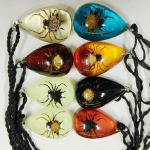FREE SHIPPING 8PCS NEW REAL SPINY SPIDER MIX COOL CHIC LUCITE INSECT PENDANT TAXIDERMY GIFT