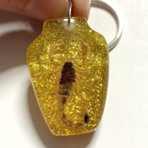 FREE SHIPPING Discount Sale Creative 50 pcs Scorpion Taxidermy Vase N 3 Style Jewelry Keychain