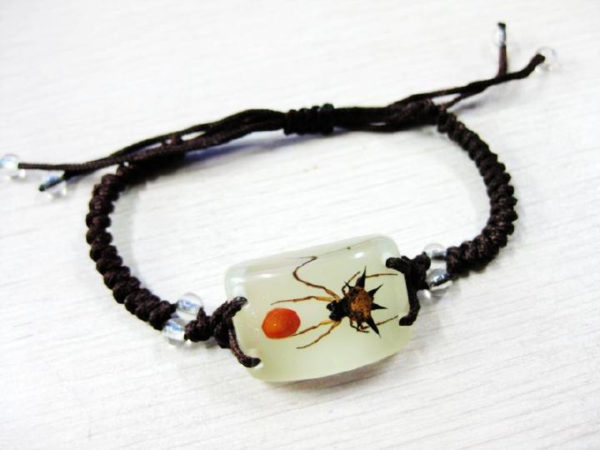 FREE SHIPPING Glow In The Dark Lucite Twisted Band Bracelet Cool REAL Spiny Spider TAXIDERMY GIFT