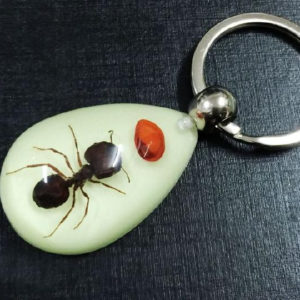 FREE SHIPPING Insect Collection Set 3PCS Real Ants Specimen in glow drop Style Keychain JEWELRY TAXIDERMY GIFT